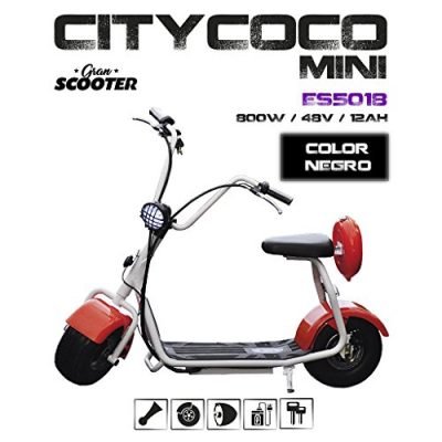 CityCoco MINI 800W