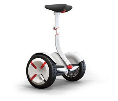 miniPro de Segway